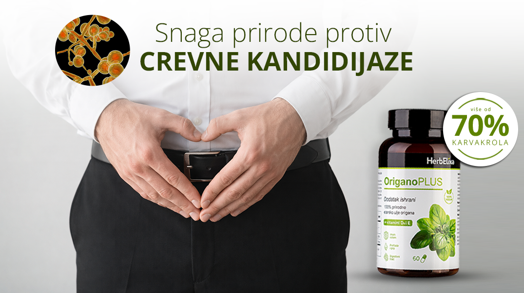 Origano-blog---crevna-kandida-II