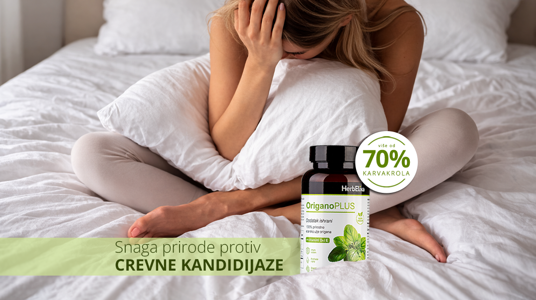 Origano-blog---crevna-kandida