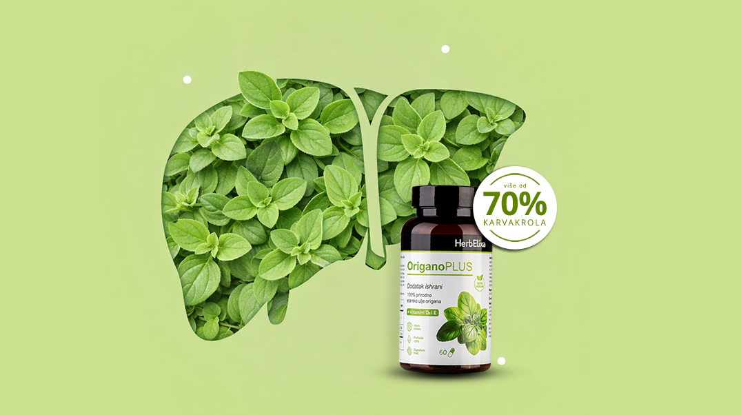 Origano-blog---masna-jetra